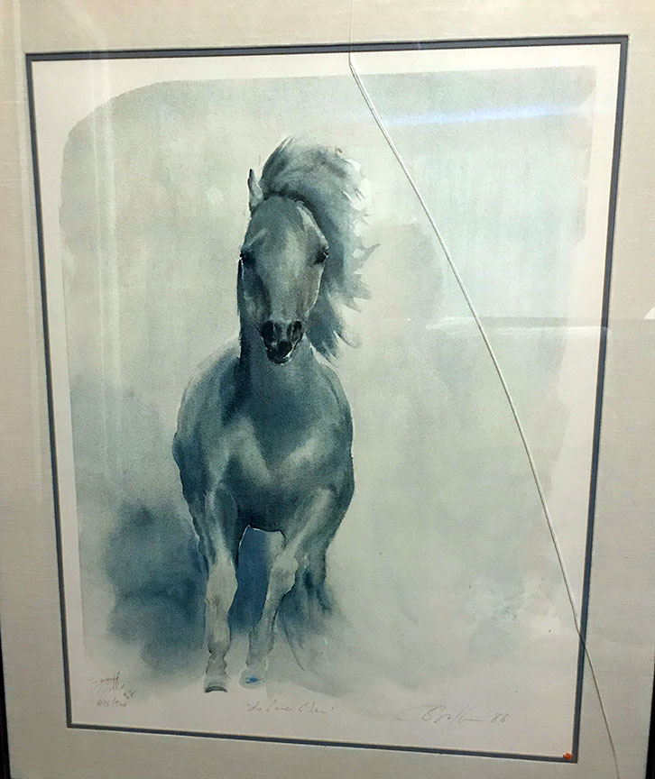 Prince Bleu